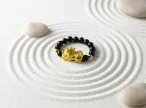 sacred_pixiu_abundance_ring5