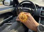 solar_lion_prosperity_car_talisman3